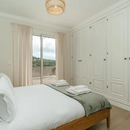 Pargo By Madeira Dream *