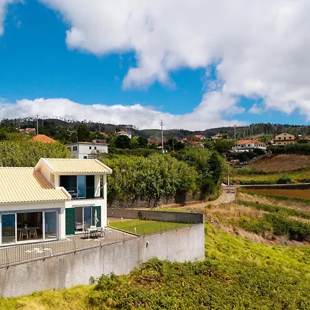 Pargo By Madeira Dream *